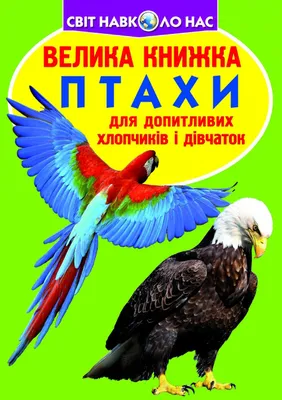 Горихвістка чорна — Вікіпедія