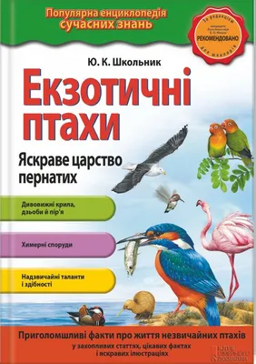 Хлібом не годуй: що їдять птахи і хто прилітає до годівниць - КУНШТ