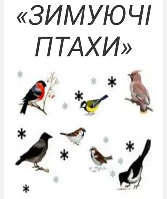 Світ птахів – світ натхнення » Blog Archive » Птахи України-Русі в  минулому, ХХ столітті