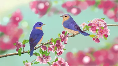 Птички красивые - Для флорариумов, мини-садов, кукольных домиков и других  творческих идей