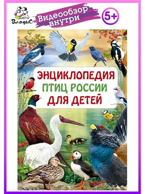 Наклейки для детей ПТИЦЫ/НАСЕКОМЫЕ. - купить с доставкой по выгодным ценам  в интернет-магазине OZON (735953931)