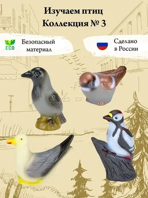 Делаем кормушки для птиц с детьми. Мастер-класс для волонтеров - Школа  социального волонтерства