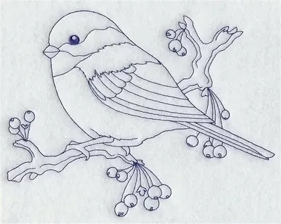 Рисунки карандашом птиц