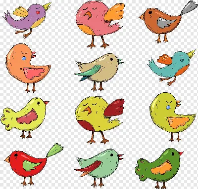 Рисунки птиц для срисовки легкие - 76 фото