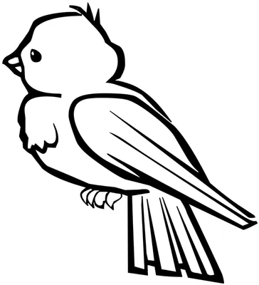 Схема рисования птицы для детей - 48 фото