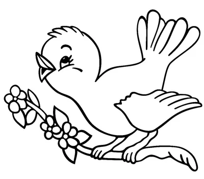 Зарисовки птиц и животных карандашом | Софья Колышева | Дзен