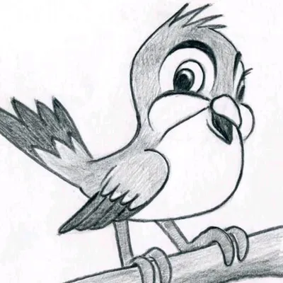 Картинки птиц для срисовки - 59 фото