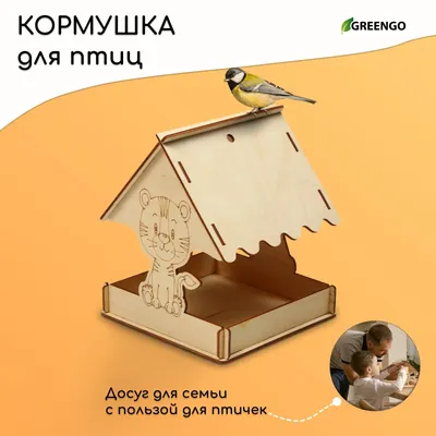 Кормушка для птиц уличная Арт Кормушка Эльбрус - «Прозрачная кормушка на  окно. Эффект присутствия диких птиц у вас дома. » | отзывы