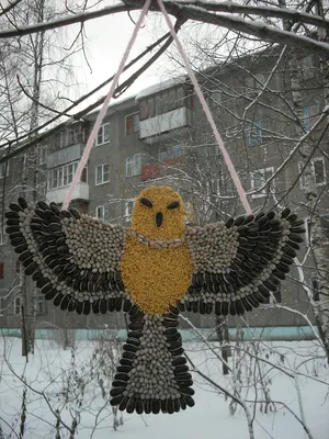  - Покормите птиц зимой... Дорогие неравнодушные... | Facebook