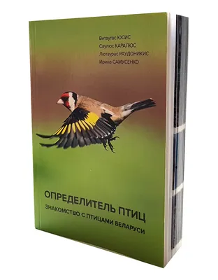 Заказник «Туровский луг». В ожидании птиц и весны | 