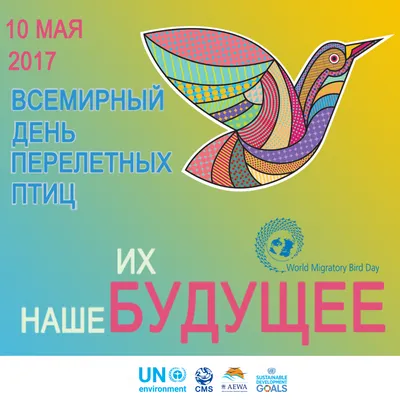 Убийство птиц – неэффективно, аморально и противоречит законам РФ –  орнитологи Колымы - MagadanMedia