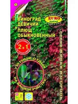 Храм Христа Спасителя – святой Феникс Руси (с посещением 4-х смотровых  площадок под куполом храма, пешеходная) - Экскурсии по Москве: цены и  расписание 2023