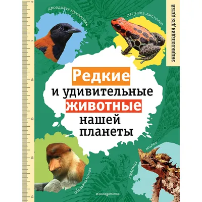 Малайзия Часть 6 Снова о джунглях заповедника «Taman Negara».