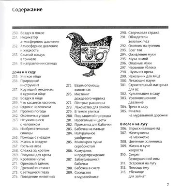 Птицы России. Детская энциклопедия (6780753) - Купить по цене от   руб. | Интернет магазин 