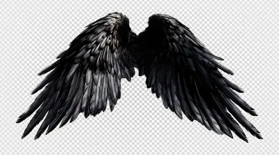 Черный орнамент крылья ангела, изолированные на прозрачном фоне  генеративный ай | Премиум PSD Файл