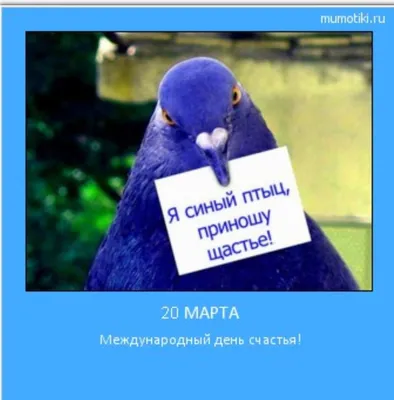 Голубая птица счастья большие крылья…» — создано в Шедевруме