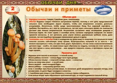 Жизнь животных том 2 (птицы) | PDF