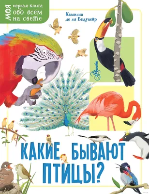 Совы, зайцы, пеликан. Кемеровские волонтёры 10 лет спасают диких животных |  ОБЩЕСТВО | АиФ Кузбасс