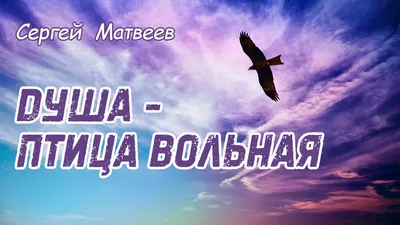 Картина маслом "Птица вольная"авторская работа 45*60: 1 900 грн. - Живопись  Богодухов на Olx