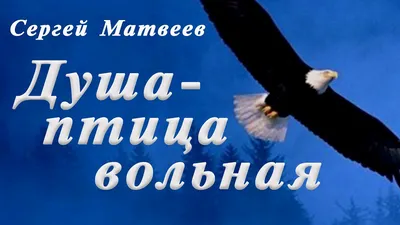 Стихотворение «" Птица вольная "», поэт Саламандра