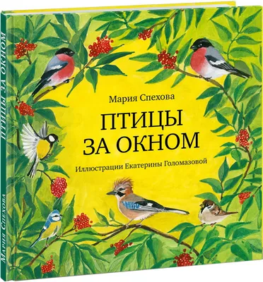 Мария Спехова: Птицы за окном - купить в интернет магазине, продажа с  доставкой - Днепр, Киев, Украина - Книги для детей 0 - 2 лет