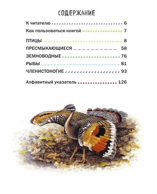 Животные. Птицы, рептилии, рыбы, млекопитающие, насекомые. Энциклопеди –  Lookomorie