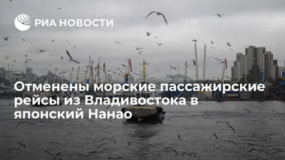 Почему во Владивостоке умирают птицы -  - 