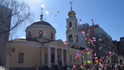 Белые птицы за черный нал. Для утех ближневосточных шейхов на Камчатке  уничтожают уникальную популяцию диких кречетов — Новая газета