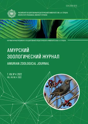 Дни наблюдения за птицами в Амурской области