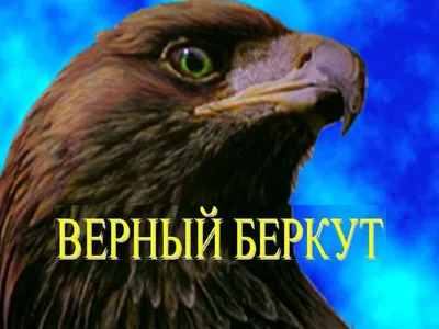 Беркут (Aquila chrysaetos). Птицы Сибири.