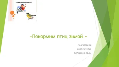 НОД «Подкормим птиц зимой» во 2-й младшей группе