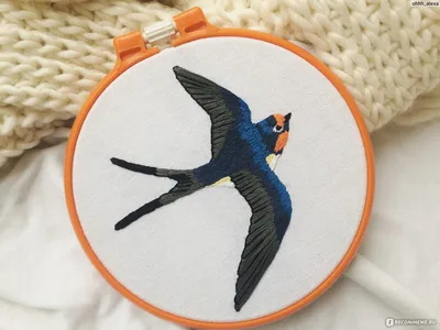 СЛЕДУЯ МЕЧТАМ - FOLLOWING MY DREAMS: Вышивка гладью, малиновка -  Embroidered robin