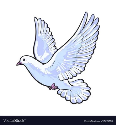 Белая птица голубь PNG , белый, голубь, летать PNG картинки и пнг PSD  рисунок для бесплатной загрузки