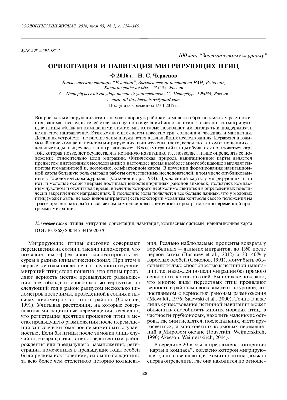 PDF) Ориентация и навигация мигрирующих птиц