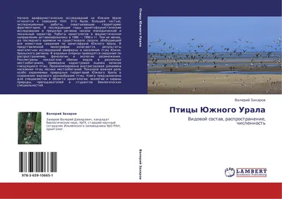 Орнитолог рассказал, как хищные птицы тонут в Средиземном море - РИА  Новости, 