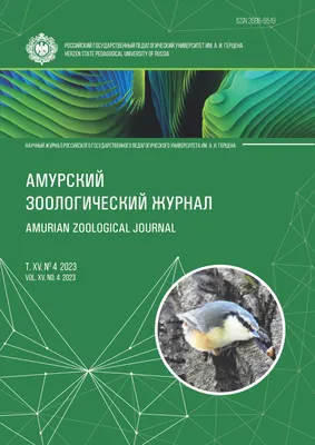 пос. Янтарный - необоснованно высокая цена за смотровую и необычный  понтонный променад | Олег Еверзов | Дзен