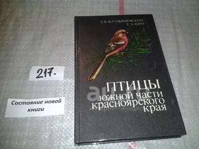 На юге Красноярского края впервые заметили чёрного дрозда — Новости  Красноярска на 7 канале