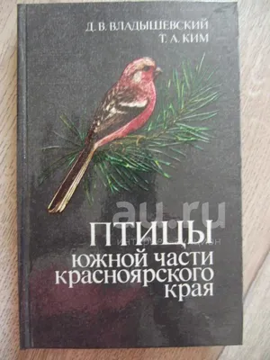 Фото дня. Птичка барсучок | Птицы в большом городе | Дзен