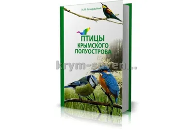 🔔 Дикая Природа Крыма. My-Mriya | Хищные птицы Крыма. Кобчик | Дзен