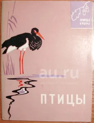 Сунгуров А.Н. Птицы (Природа Крыма). 1966 — купить в Симферополе.  Состояние: Б/у. Другое (справочная литература) на интернет-аукционе 