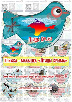 Наблюдать птиц в Крыму – это интересно - газета «Кафа» новости Феодосии и  Крыма