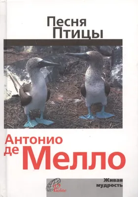 Брошюра "Животные и птицы" на английском, для детей.: 50 грн. - Книги /  журналы Киев на Olx