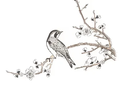 Плакат Птица весенняя на ветке акварель