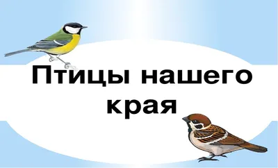 Весна идёт. Птицы — МАДОУ детский сад №183 города Тюмени