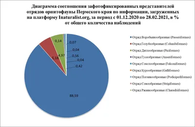 Пермские орнитологические итоги зимы 2020-2021 · iNaturalist