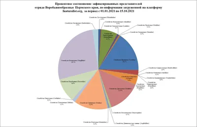 В пермском парке Горького исследовали птиц в 2019 г -  - 