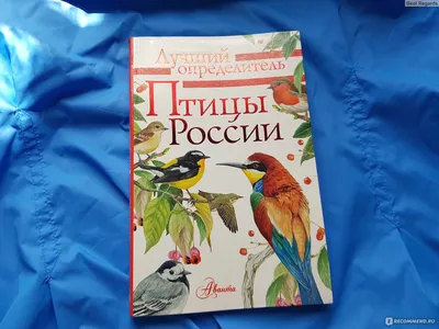 Птицы России. Определитель. Волцит П., Мосалов А. - «Серия "Лучший  определитель", а определитель далеко не лучший и точно не универсальный» |  отзывы