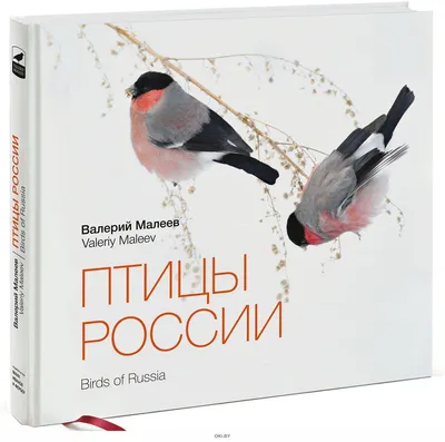 📖Птицы России. Популярная детская энциклопедия Владис купить книгу с  доставкой | 9785956727607 |