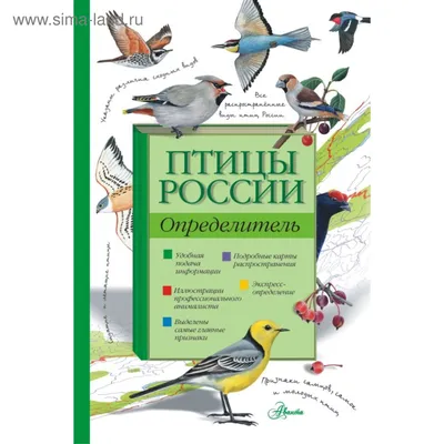 Птицы России. Определитель. Волцит П., Мосалов А. - «Серия "Лучший  определитель", а определитель далеко не лучший и точно не универсальный» |  отзывы