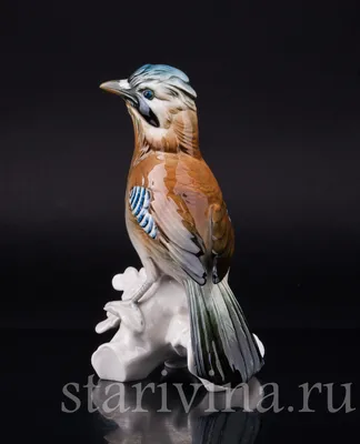 Крупная птица с синими крыльями - 70 фото